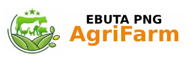 Ebuta PNG Agrifarm