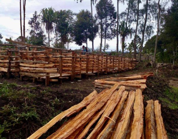 pig-shed1 (1) EPNGAF Piggery Project