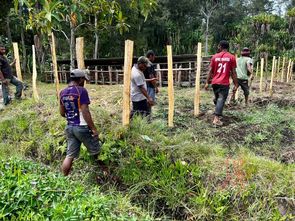 Ebuta PNG AgriFarm