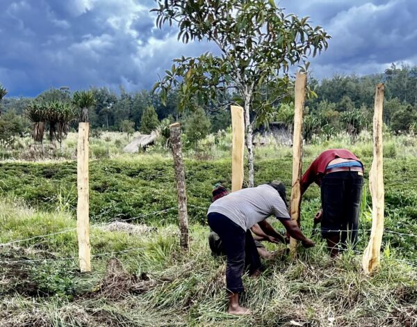 epngaf Epng AgriFarm