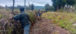 Cow farm maintenance